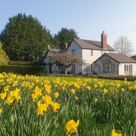 Lower House B&B Adforton Leintwardine Екстер'єр фото