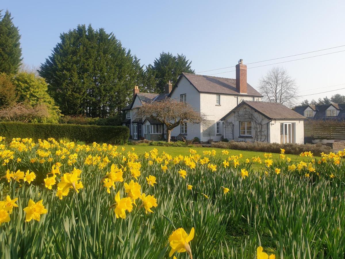Lower House B&B Adforton Leintwardine Екстер'єр фото